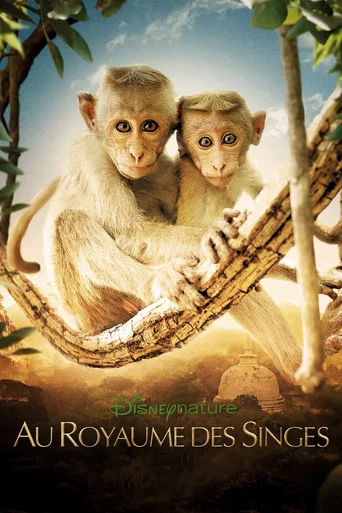 Regarder Au Royaume des Singes en streaming complet