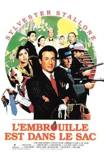 Regarder L'Embrouille est dans le sac en streaming complet