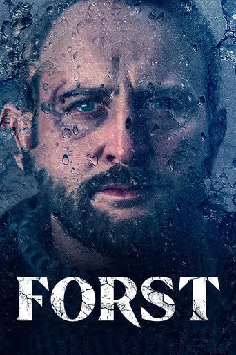 Regarder Détective Forst en streaming complet