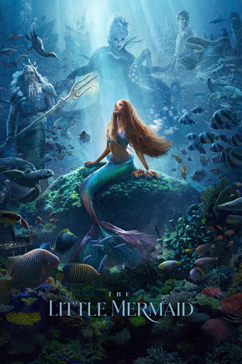 Regarder The Little Mermaid en streaming complet